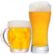 Light-lager-pilsner-cat.jpg