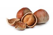 hazelnut