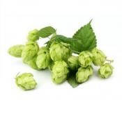 hop-flowers