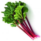 rhubarb