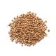 Coriander Seeds
