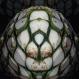 Blue Agave 1